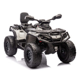 Can-Am Outlander 24V 4WD Kids Ride-On ATV Quad | Cinza